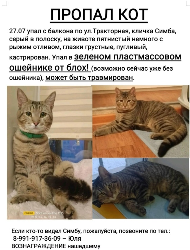 photo