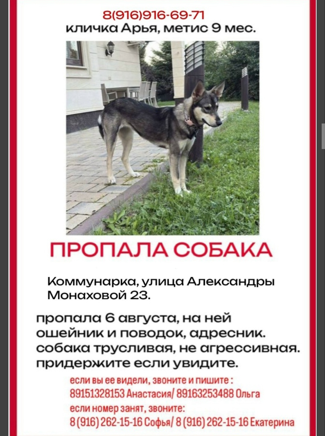 photo