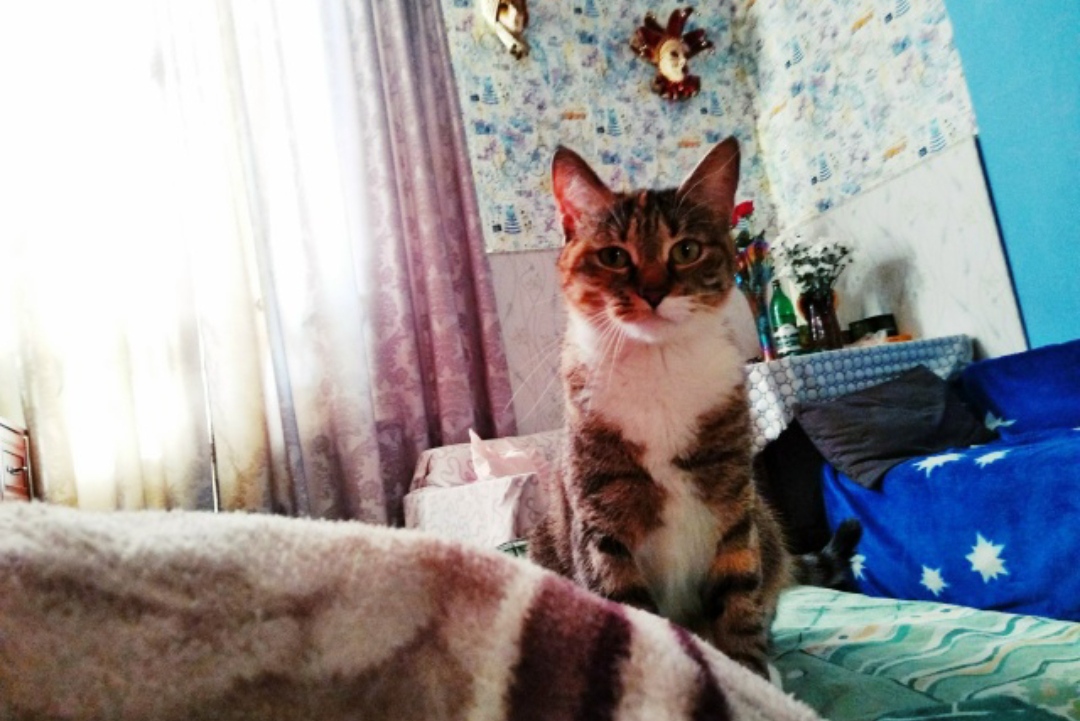 photo